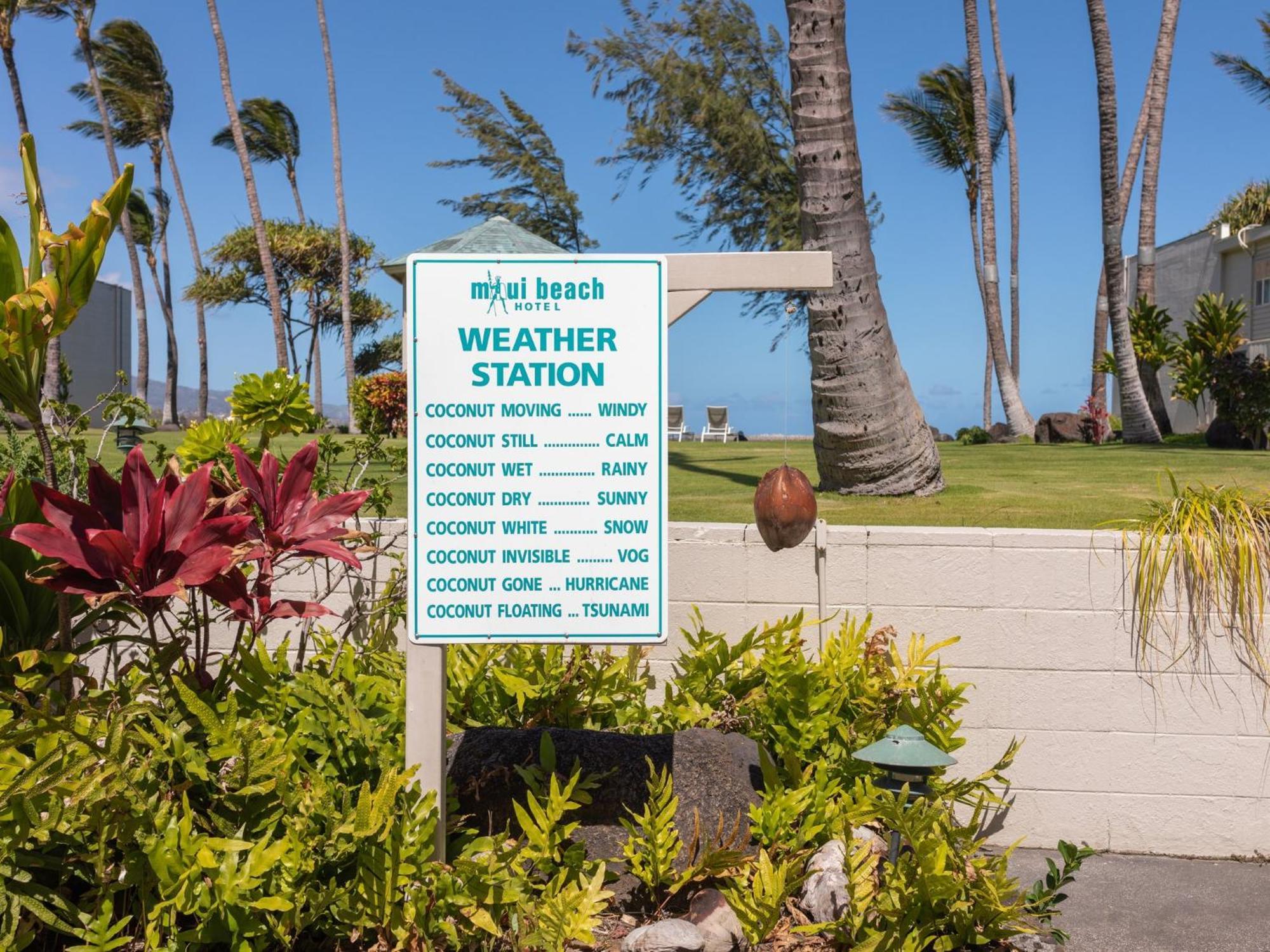 Maui Beach Hotel Kahului Luaran gambar
